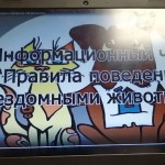 img-20250220-wa0018