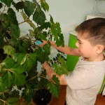 img-20250417-wa0047