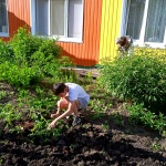 img-20250518-wa0017