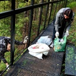img-20250521-wa0012