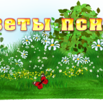 kartinka_soveti_psihologa_w700_h260